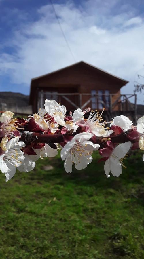 Sol De La Patagonia Bed and Breakfast Puerto Guadal Buitenkant foto